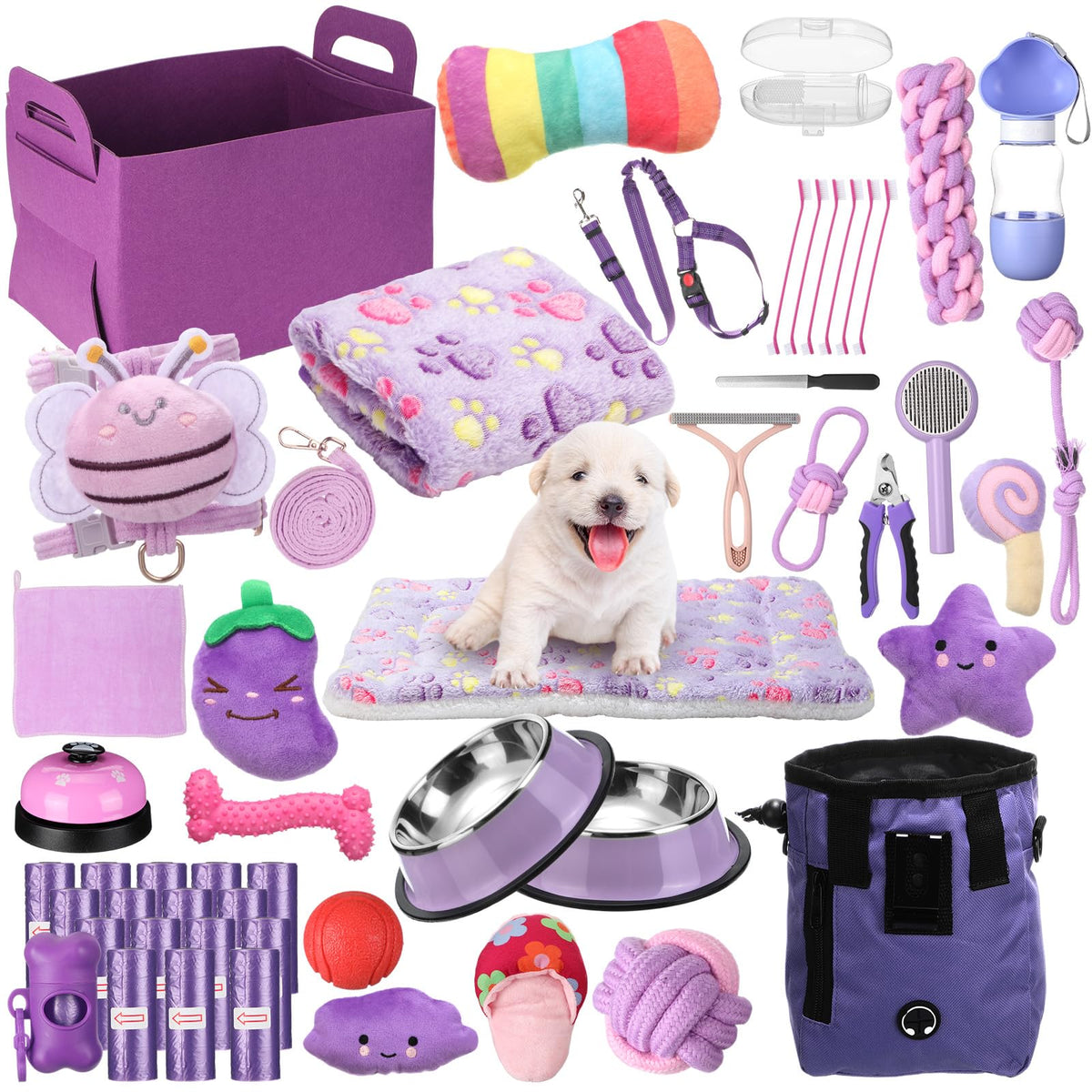 Pet Accesseries