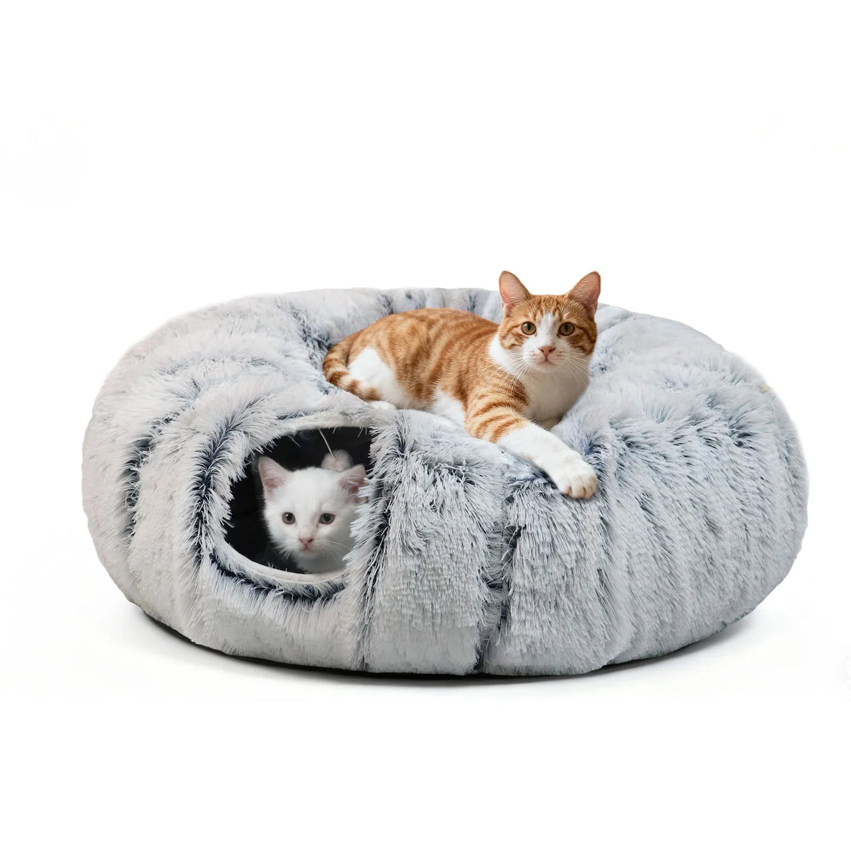 Pet Furniture & Beds